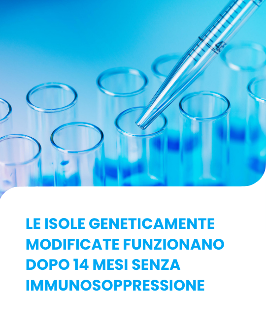 Le isole geneticamente modificate continuano a funzionare dopo 14 mesi e niente immunosoppressione